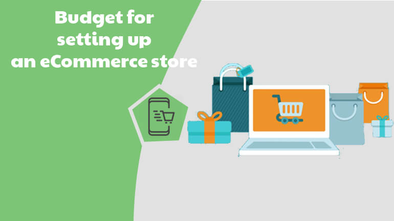 Budget for an Online Store