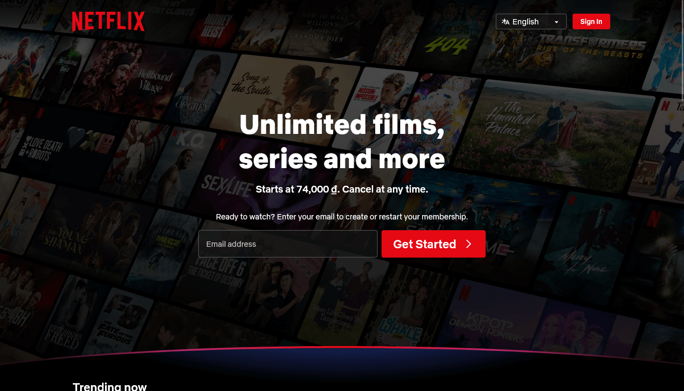 Netflix: Pioneering the Subscription Model for Streaming Entertainment